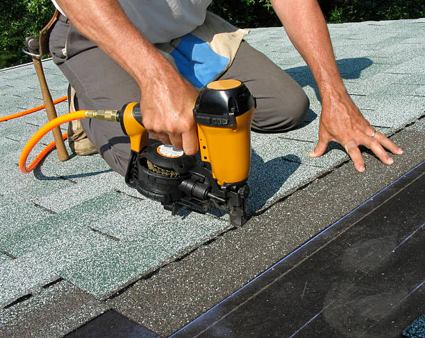 Best Gutter Installation and Roofing  in Brownsville, FL