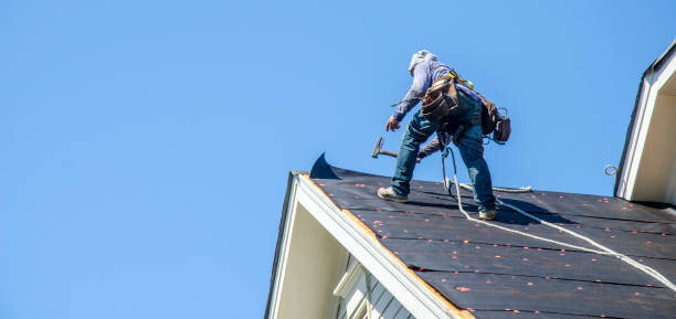 Best Flat Roof Repair Services  in Brownsville, FL